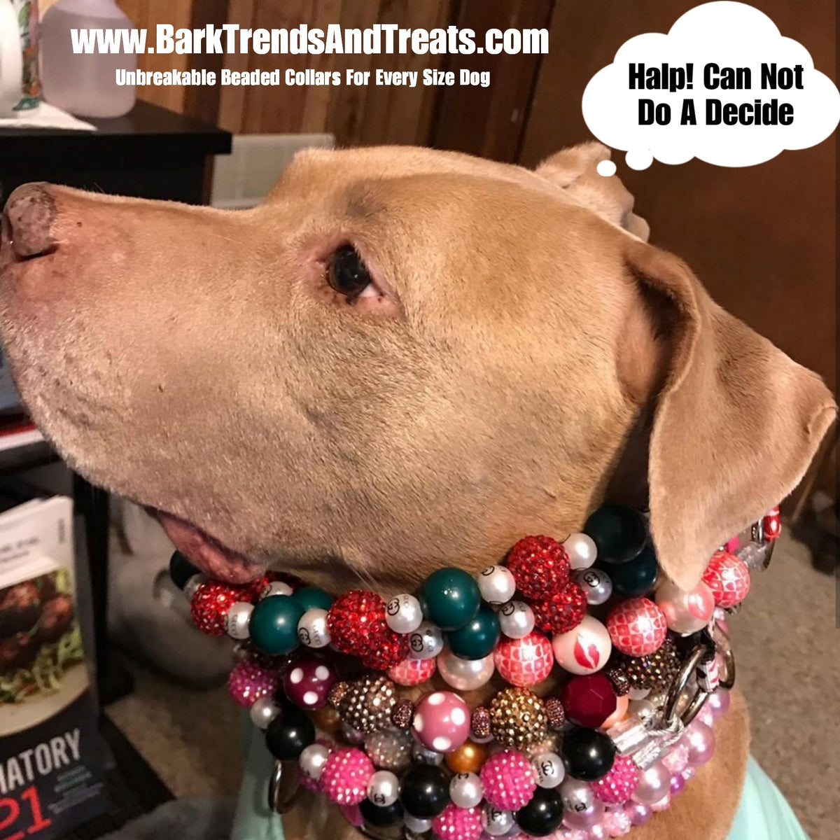 Designer Dog Collar Tag Charms – Barkberry Boutique