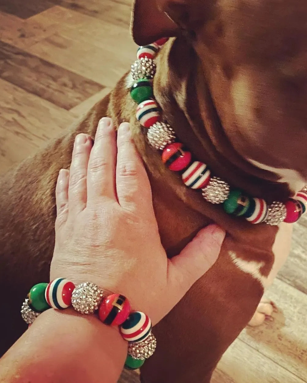 Dog collar best sale and human bracelet